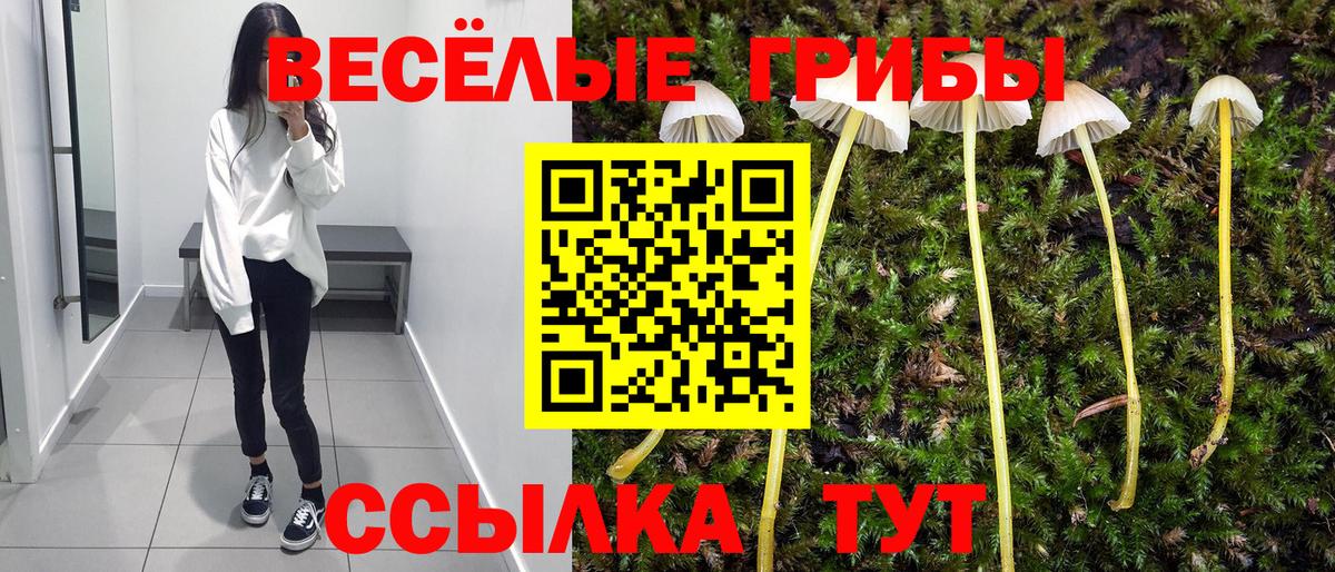 Псилоцибиновые грибы Psilocybine cubensis  магазин    Галлюциногенные грибы MAGIC MUSHROOMS  Большой Камень  Вход с VPN 